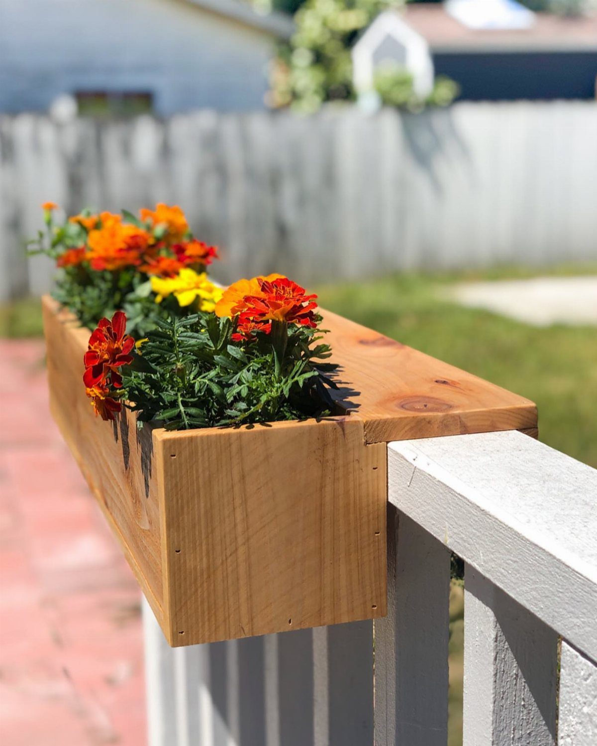Wooden planter box with orange marigolds attached to a white deck railing outdoors.