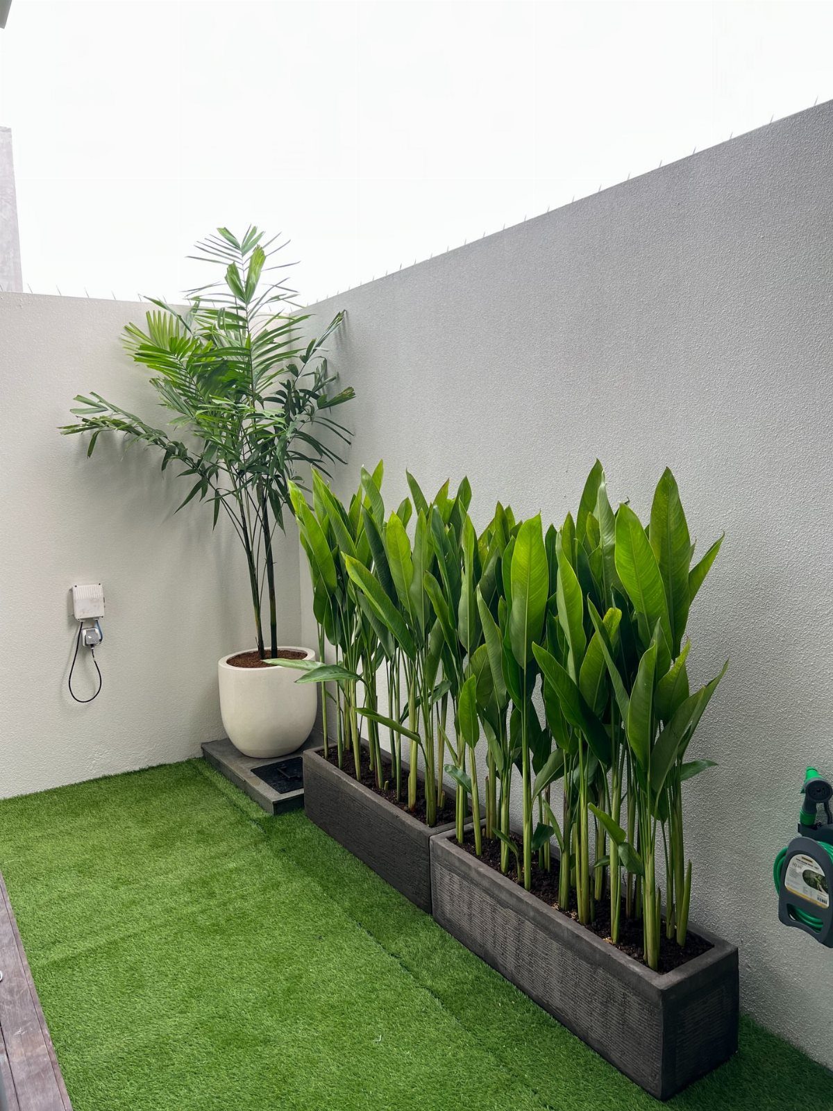 Green leafy plants in rectangular planters and a palm in a white pot on artificial grass.